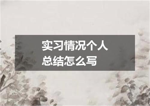 实习情况个人总结怎么写