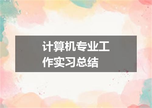 计算机专业工作实习总结