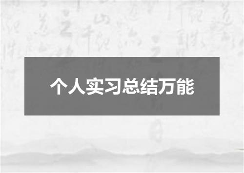 个人实习总结万能