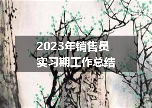 2023年销售员实习期工作总结