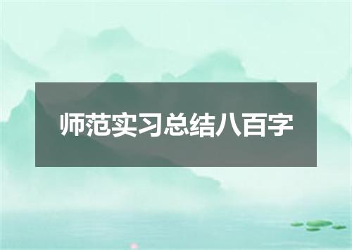师范实习总结八百字
