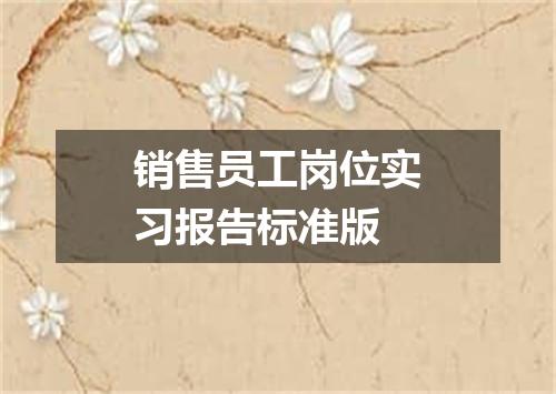 销售员工岗位实习报告标准版