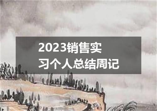 2023销售实习个人总结周记