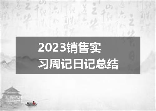 2023销售实习周记日记总结