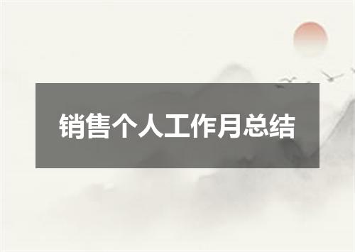 销售个人工作月总结