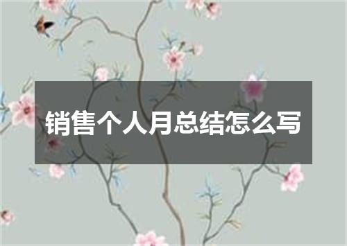 销售个人月总结怎么写