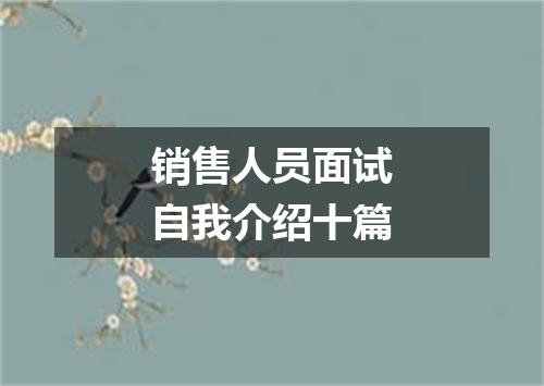 销售人员面试自我介绍十篇