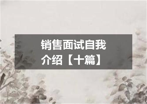 销售面试自我介绍【十篇】