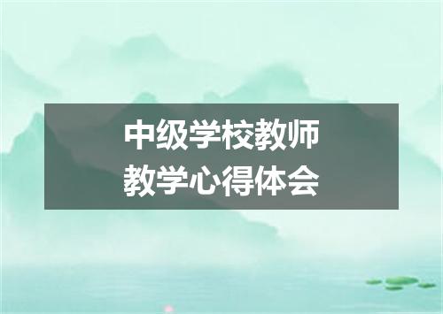 中级学校教师教学心得体会