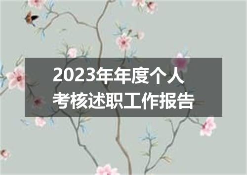2023年年度个人考核述职工作报告