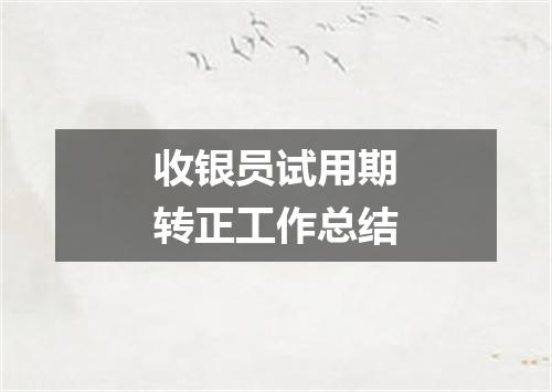 收银员试用期转正工作总结