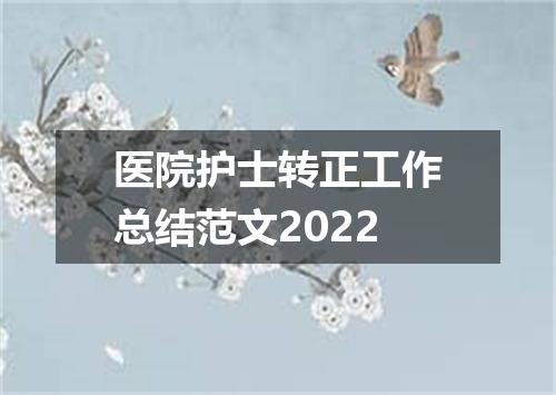 医院护士转正工作总结范文2022