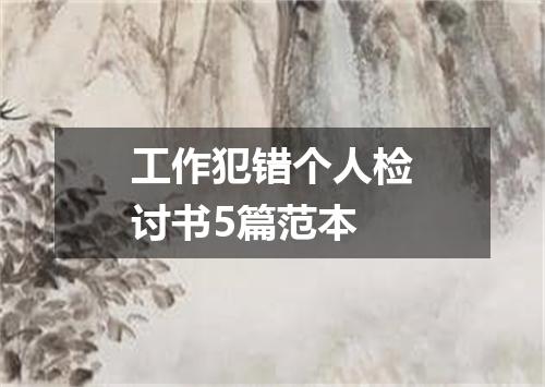 工作犯错个人检讨书5篇范本