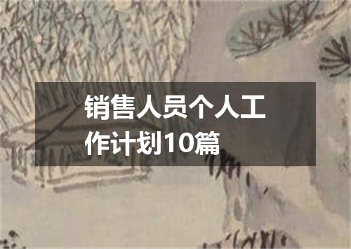 销售人员个人工作计划10篇