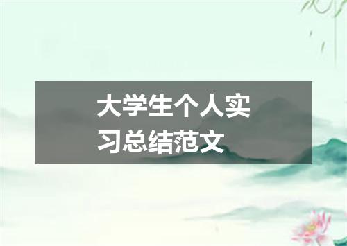 大学生个人实习总结范文