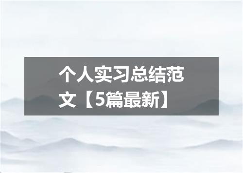 个人实习总结范文【5篇最新】
