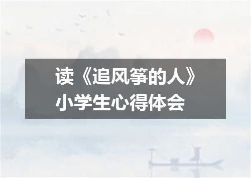 读《追风筝的人》小学生心得体会