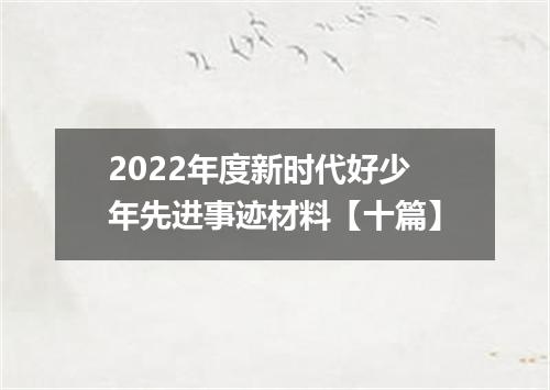 2022年度新时代好少年先进事迹材料【十篇】