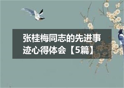 张桂梅同志的先进事迹心得体会【5篇】