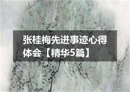 张桂梅先进事迹心得体会【精华5篇】