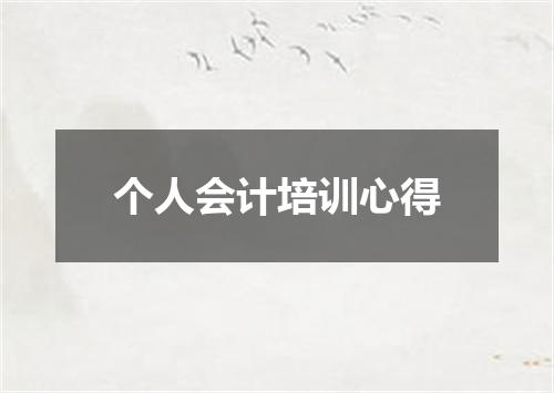 个人会计培训心得