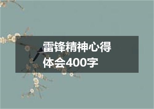 雷锋精神心得体会400字