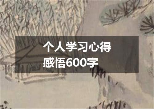 个人学习心得感悟600字