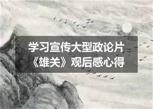 学习宣传大型政论片《雄关》观后感心得