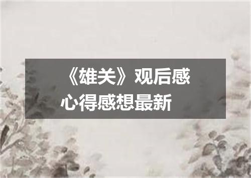 《雄关》观后感心得感想最新