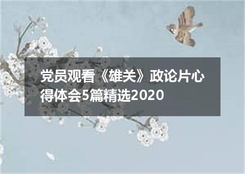 党员观看《雄关》政论片心得体会5篇精选2020