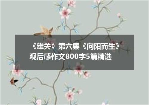 《雄关》第六集《向阳而生》观后感作文800字5篇精选