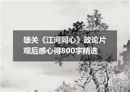 雄关《江河同心》政论片观后感心得800字精选