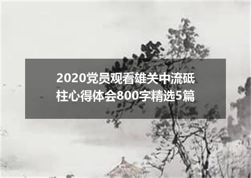 2020党员观看雄关中流砥柱心得体会800字精选5篇