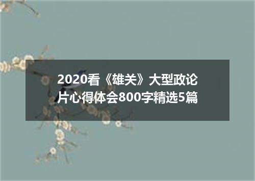 2020看《雄关》大型政论片心得体会800字精选5篇