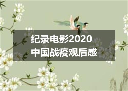 纪录电影2020中国战疫观后感