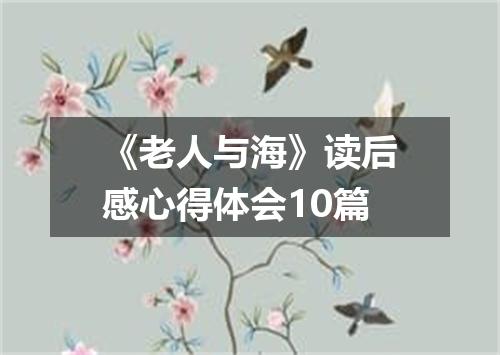 《老人与海》读后感心得体会10篇