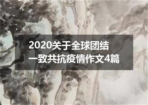 2020关于全球团结一致共抗疫情作文4篇