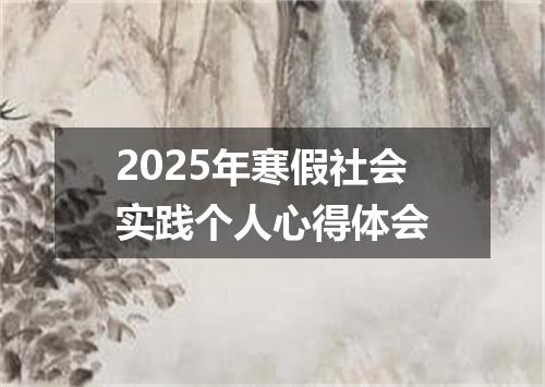 2025年寒假社会实践个人心得体会