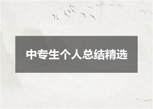 中专生个人总结精选