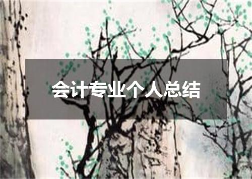 会计专业个人总结
