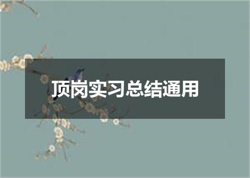 顶岗实习总结通用