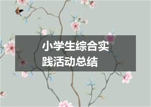 小学生综合实践活动总结