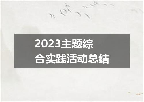 2023主题综合实践活动总结
