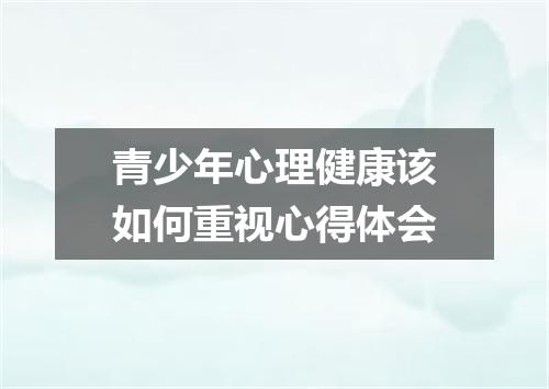 青少年心理健康该如何重视心得体会