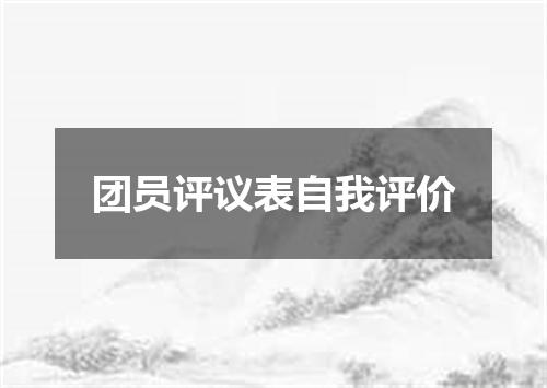 团员评议表自我评价