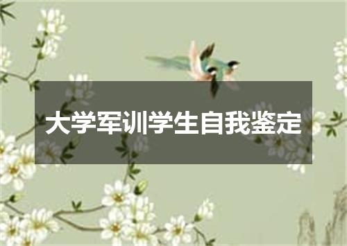 大学军训学生自我鉴定