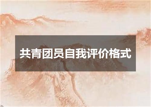 共青团员自我评价格式
