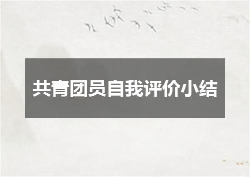 共青团员自我评价小结