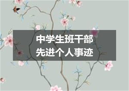 中学生班干部先进个人事迹