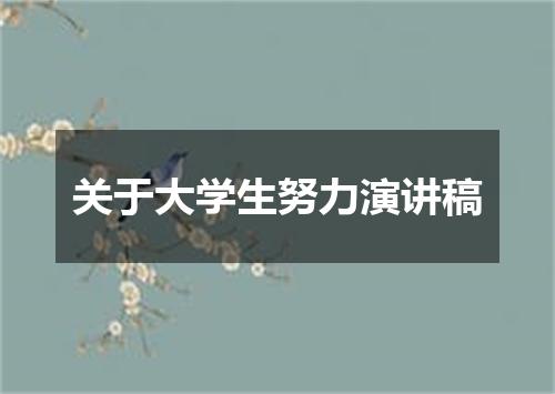 关于大学生努力演讲稿
